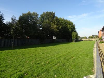 Picture 12